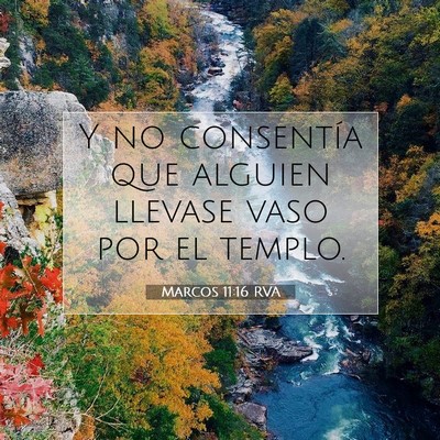 Picture 07 - Marcos 11:16 RVA - Y no consentía que alguien llevase vaso por el - Bible Verse Picture