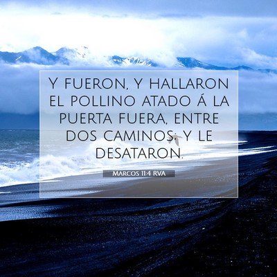 Picture 07 - Marcos 11:4 RVA - Y fueron, y hallaron el pollino atado á la - Bible Verse Picture