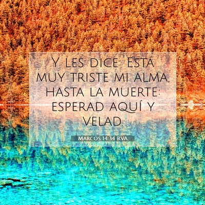 Picture 07 - Marcos 14:34 RVA - Y les dice: Está muy triste mi alma, hasta la - Bible Verse Picture