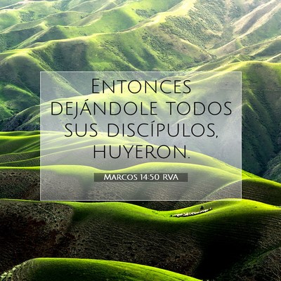 Picture 07 - Marcos 14:50 RVA - Entonces dejándole todos sus discípulos, - Bible Verse Picture