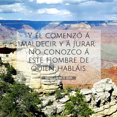 Picture 07 - Marcos 14:71 RVA - Y él comenzó á maldecir y á jurar: No conozco - Bible Verse Picture