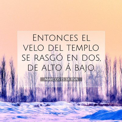 Picture 07 - Marcos 15:38 RVA - Entonces el velo del templo se rasgó en dos, de - Bible Verse Picture