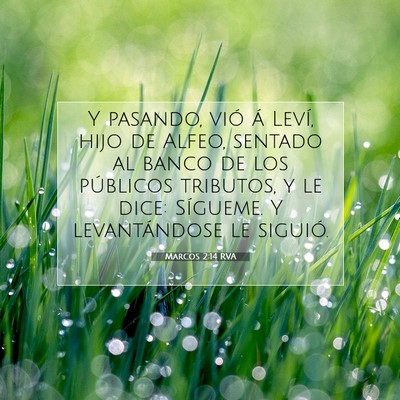 Picture 07 - Marcos 2:14 RVA - Y pasando, vió á Leví, hijo de Alfeo, sentado - Bible Verse Picture