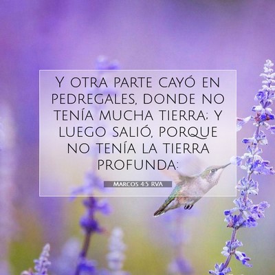 Picture 07 - Marcos 4:5 RVA - Y otra parte cayó en pedregales, donde no tenía - Bible Verse Picture