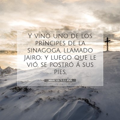 Picture 07 - Marcos 5:22 RVA - Y vino uno de los príncipes de la sinagoga, - Bible Verse Picture