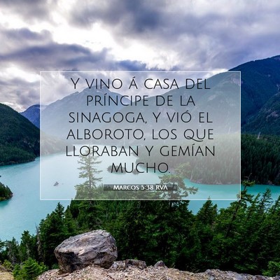 Picture 07 - Marcos 5:38 RVA - Y vino á casa del príncipe de la sinagoga, y - Bible Verse Picture