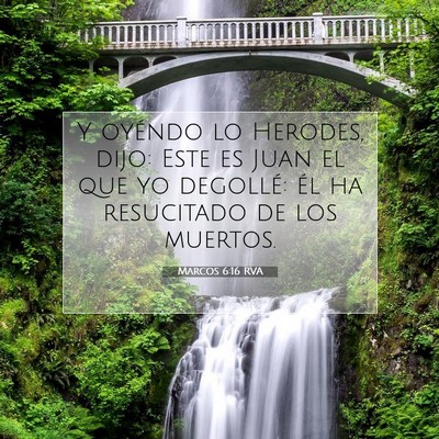 Picture 07 - Marcos 6:16 RVA - Y oyéndo lo Herodes, dijo: Este es Juan el que - Bible Verse Picture