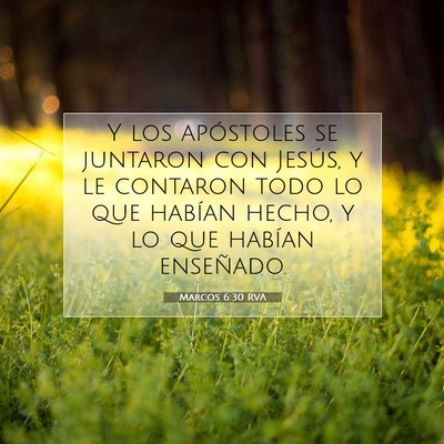 Picture 07 - Marcos 6:30 RVA - Y los apóstoles se juntaron con Jesús, y le - Bible Verse Picture
