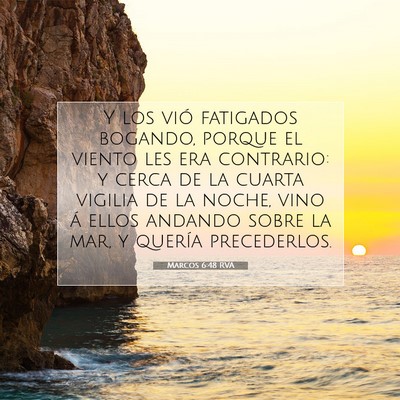 Picture 07 - Marcos 6:48 RVA - Y los vió fatigados bogando, porque el viento - Bible Verse Picture