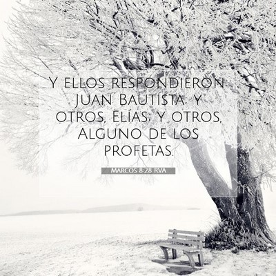 Picture 07 - Marcos 8:28 RVA - Y ellos respondieron: Juan Bautista; y otros, - Bible Verse Picture