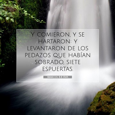 Picture 07 - Marcos 8:8 RVA - Y comieron, y se hartaron: y levantaron de los - Bible Verse Picture