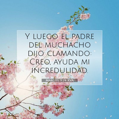 Picture 07 - Marcos 9:24 RVA - Y luego el padre del muchacho dijo clamando: - Bible Verse Picture