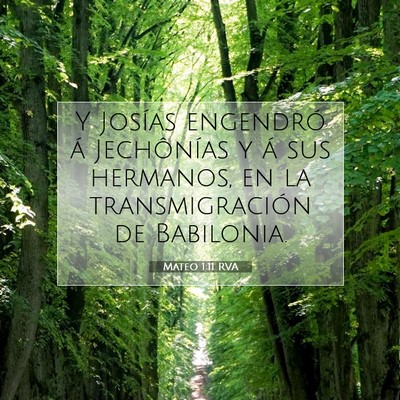 Picture 07 - Mateo 1:11 RVA - Y Josías engendró á Jechônías y á sus - Bible Verse Picture