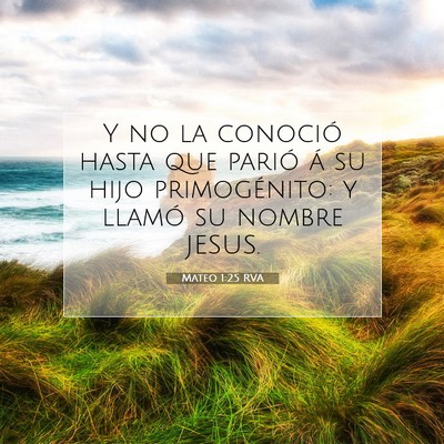 Picture 07 - Mateo 1:25 RVA - Y no la conoció hasta que parió á su hijo - Bible Verse Picture