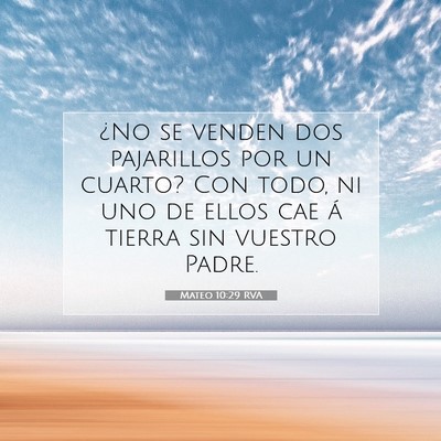 Picture 07 - Mateo 10:29 RVA - ¿No se venden dos pajarillos por un cuarto? Con - Bible Verse Picture