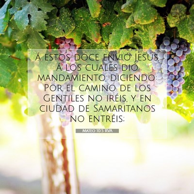 Picture 07 - Mateo 10:5 RVA - á estos doce envió Jesús, á los cuales dió - Bible Verse Picture