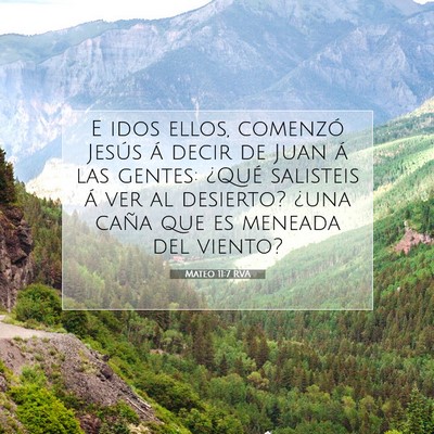 Picture 07 - Mateo 11:7 RVA - E idos ellos, comenzó Jesús á decir de Juan á - Bible Verse Picture