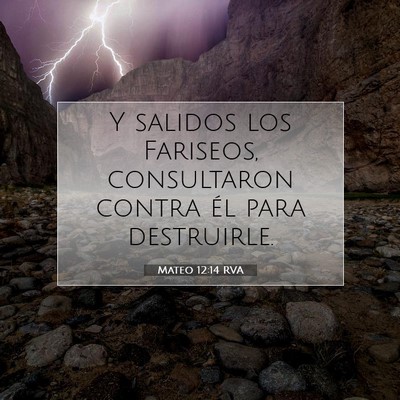 Picture 07 - Mateo 12:14 RVA - Y salidos los Fariseos, consultaron contra él - Bible Verse Picture