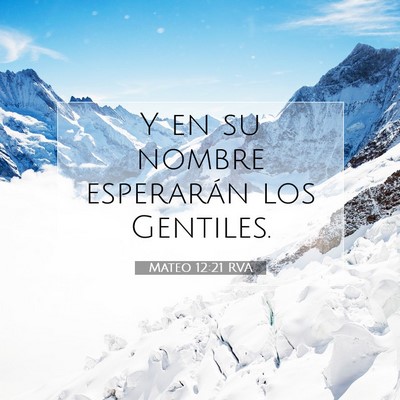Picture 07 - Mateo 12:21 RVA - Y en su nombre esperarán los - Bible Verse Picture