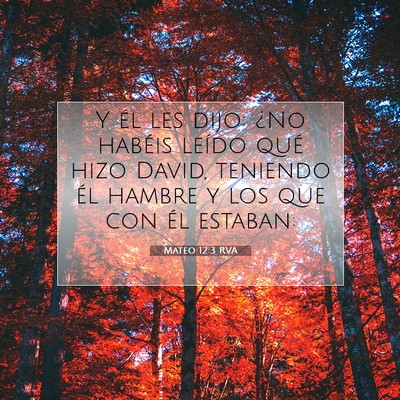 Picture 07 - Mateo 12:3 RVA - Y él les dijo: ¿No habéis leído qué hizo - Bible Verse Picture