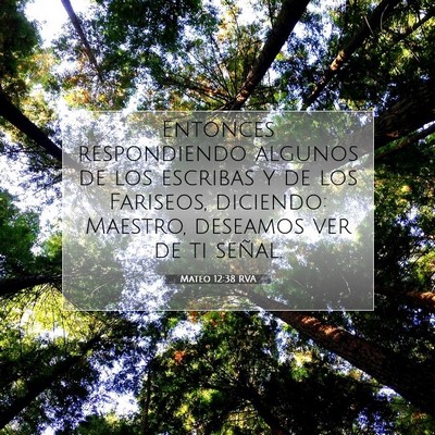 Picture 07 - Mateo 12:38 RVA - Entonces respondiendo algunos de los escribas y - Bible Verse Picture
