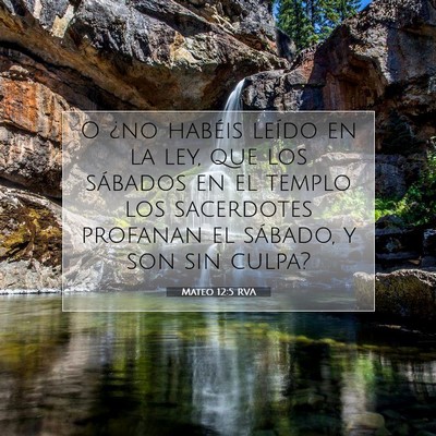 Picture 07 - Mateo 12:5 RVA - O ¿no habéis leído en la ley, que los sábados - Bible Verse Picture