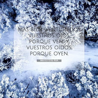 Picture 07 - Mateo 13:16 RVA - Mas bienaventurados vuestros ojos, porque ven; y - Bible Verse Picture