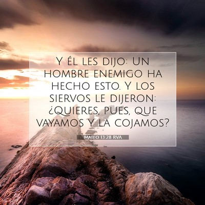Picture 07 - Mateo 13:28 RVA - Y él les dijo: Un hombre enemigo ha hecho esto. - Bible Verse Picture