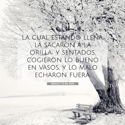 Picture 07 - Mateo 13:48 RVA - La cual estando llena, la sacaron á la orilla; y - Bible Verse Picture