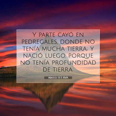 Picture 07 - Mateo 13:5 RVA - Y parte cayó en pedregales, donde no tenía - Bible Verse Picture