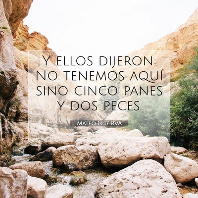 Picture 07 - Mateo 14:17 RVA - Y ellos dijeron: No tenemos aquí sino cinco - Bible Verse Picture