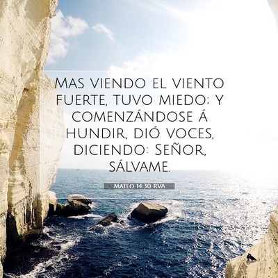 Picture 07 - Mateo 14:30 RVA - Mas viendo el viento fuerte, tuvo miedo; y - Bible Verse Picture