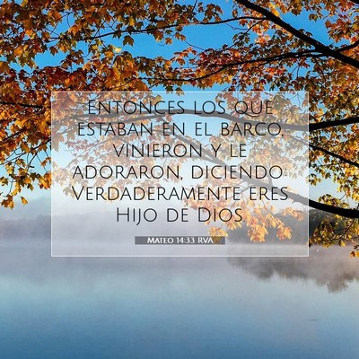 Picture 07 - Mateo 14:33 RVA - Entonces los que estaban en el barco, vinieron y - Bible Verse Picture