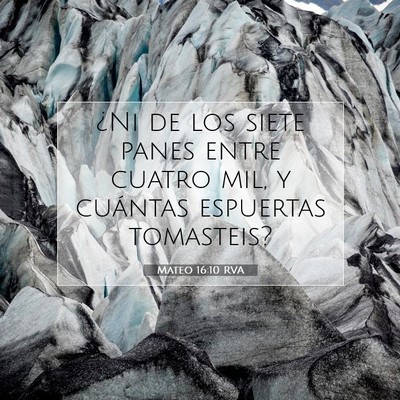 Picture 07 - Mateo 16:10 RVA - ¿Ni de los siete panes entre cuatro mil, y - Bible Verse Picture