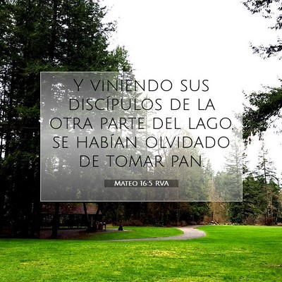 Picture 07 - Mateo 16:5 RVA - Y viniendo sus discípulos de la otra parte del - Bible Verse Picture