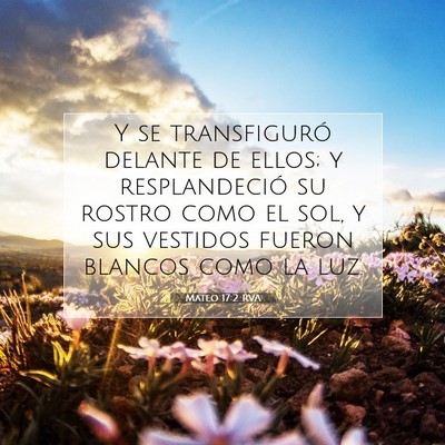 Picture 07 - Mateo 17:2 RVA - Y se transfiguró delante de ellos; y - Bible Verse Picture
