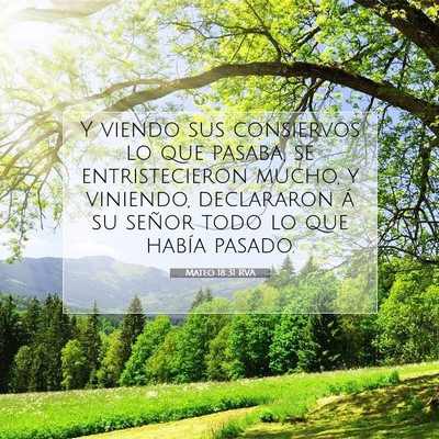 Picture 07 - Mateo 18:31 RVA - Y viendo sus consiervos lo que pasaba, se - Bible Verse Picture