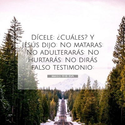 Picture 07 - Mateo 19:18 RVA - Dícele: ¿Cuáles? Y Jesús dijo: No mataras: No - Bible Verse Picture