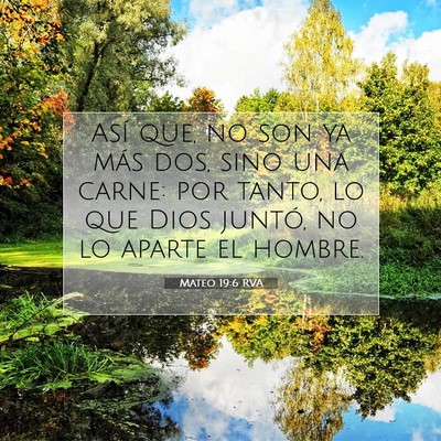 Picture 07 - Mateo 19:6 RVA - Así que, no son ya más dos, sino una carne: por - Bible Verse Picture