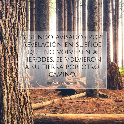 Picture 07 - Mateo 2:12 RVA - Y siendo avisados por revelación en sueños que - Bible Verse Picture