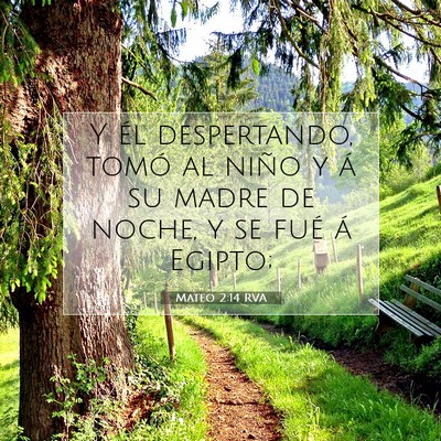 Picture 07 - Mateo 2:14 RVA - Y él despertando, tomó al niño y á su madre - Bible Verse Picture