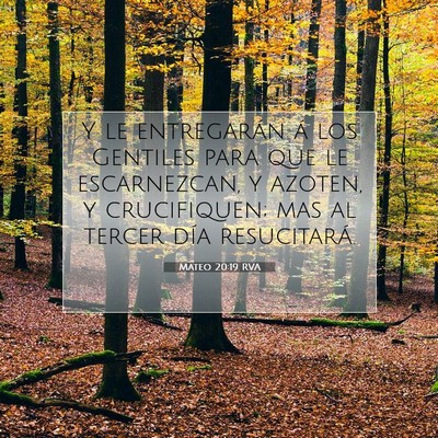 Picture 07 - Mateo 20:19 RVA - Y le entregarán á los Gentiles para que le - Bible Verse Picture
