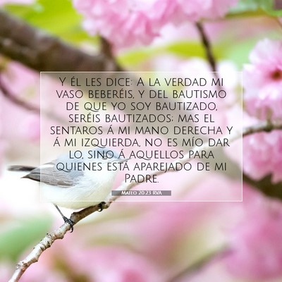 Picture 07 - Mateo 20:23 RVA - Y él les dice: A la verdad mi vaso beberéis, y - Bible Verse Picture