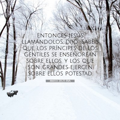 Picture 07 - Mateo 20:25 RVA - Entonces Jesús llamándolos, dijo: Sabéis que - Bible Verse Picture
