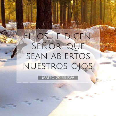 Picture 07 - Mateo 20:33 RVA - Ellos le dicen: Señor, que sean abiertos - Bible Verse Picture