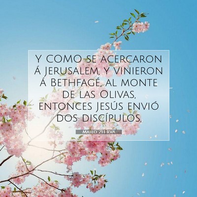 Picture 07 - Mateo 21:1 RVA - Y COMO se acercaron á Jerusalem, y vinieron á - Bible Verse Picture