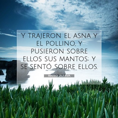 Picture 07 - Mateo 21:7 RVA - Y trajeron el asna y el pollino, y pusieron sobre - Bible Verse Picture