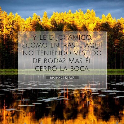 Picture 07 - Mateo 22:12 RVA - Y le dijo: Amigo, ¿cómo entraste aquí no - Bible Verse Picture