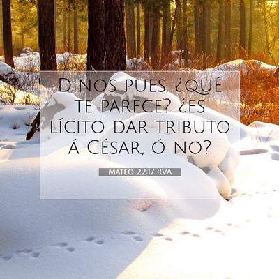 Picture 07 - Mateo 22:17 RVA - Dinos pues, ¿qué te parece? ¿es lícito dar - Bible Verse Picture