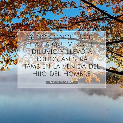 Picture 07 - Mateo 24:39 RVA - Y no conocieron hasta que vino el diluvio y - Bible Verse Picture